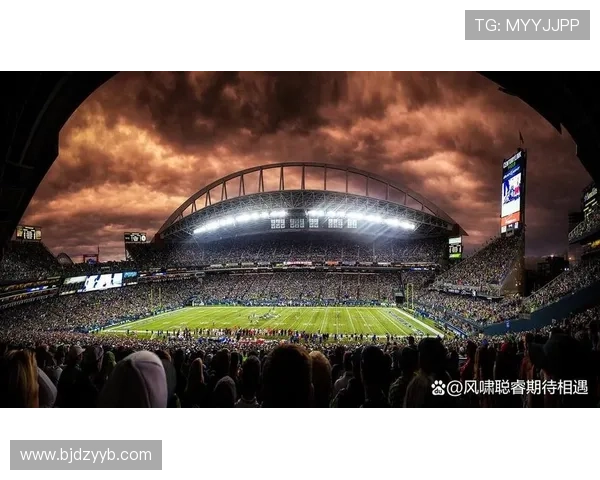 2018俄罗斯世界杯展现足球盛宴,全球热潮推动赛事影响力持续增强 2018俄罗斯世界杯展现足球盛宴,全球热潮推动赛事影响力持续增强