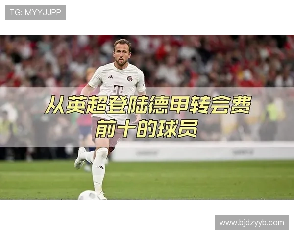 德甲转会热门球员